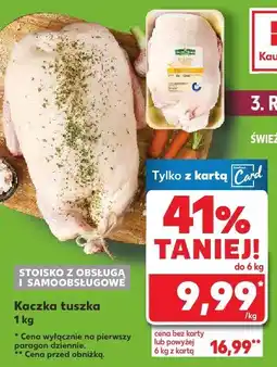 Kaufland Kaczka tuszka Kaufland oferta