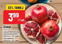 Polomarket Granat POLOmarket oferta