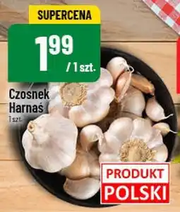 Polomarket Czosnek Harnaś POLOmarket oferta