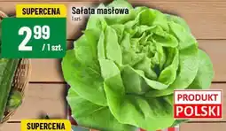 Polomarket Sałata masłowa POLOmarket oferta