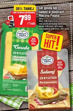 Polomarket Ser gouda w plastrach Mleczna Polana oferta