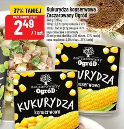 Polomarket Kukurydza konserwowa Zaczarowany Ogród oferta