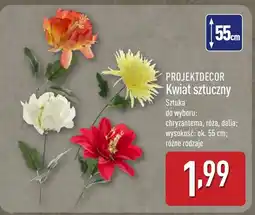 ALDI Sztuczny kwiat Projektdecor oferta