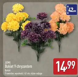 ALDI Bukiet kwiatów Jumi oferta