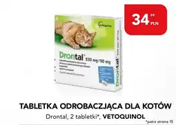 AquaelZOO Tabletka odrobaczjąca dla kotów drontal vetoquinol oferta