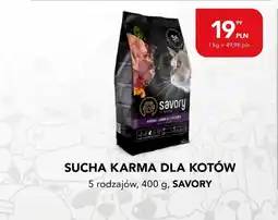 AquaelZOO Sucha karma dla kotów savory oferta