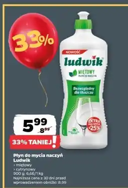 Netto Płyn do naczyń Ludwik oferta