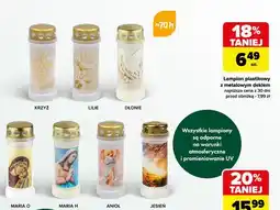 Carrefour Znicz plastikowy jesień 70h oferta