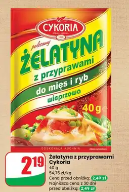 Dino Żelatyna z przyprawami wieprzowa Cykoria oferta