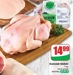 Dino Kurczak Sielski Premium oferta