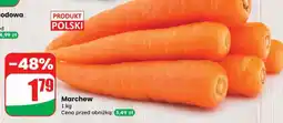 Dino Marchew Codziennie świeże oferta
