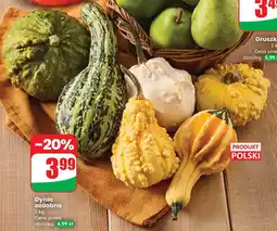 Dino Dynia ozdobna Produkt Polski oferta