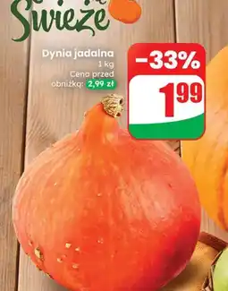 Dino Dynia jadalna Codziennie świeże oferta