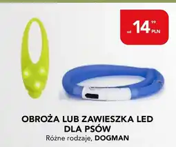 AquaelZOO Obroża led Dogman oferta