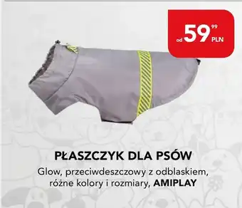 AquaelZOO Płaszczyk Amiplay oferta