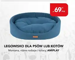 AquaelZOO Legowisko Amiplay oferta