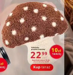 Poczta Polska Poduszka grzybek brązowy oferta