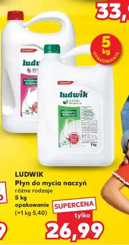 Kaufland Płyn do mycia naczyń Ludwik oferta