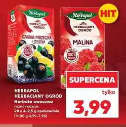Kaufland Herbata owocowa Herbapol Herbaciany Ogród oferta