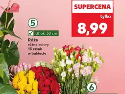 Kaufland Róże oferta