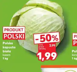 Kaufland Polska kapusta biała oferta