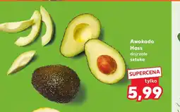 Kaufland Awokado Hass oferta