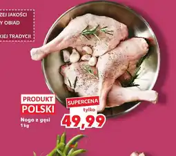 Kaufland Noga z gęsi oferta