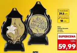 Kaufland Znicz lilia oferta