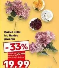 Kaufland Bukiet dalii oferta