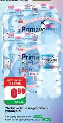 Dino Woda źródlana niegazowana Primavera oferta