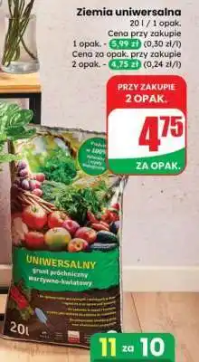 Dino Ziemia uniwersalna oferta