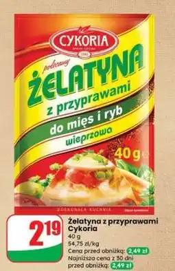 Dino żelatyna z przyprawami Cykoria oferta