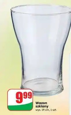 Dino Wazon szklany oferta
