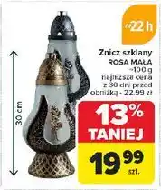 Carrefour Znicz rosa mała 100 g 22 h oferta
