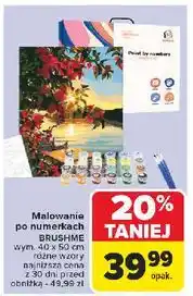 Carrefour Malowanie po numerkach 40 x 50 cm Pbs Connect Polska oferta