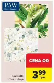 Carrefour Serwetki Paw oferta