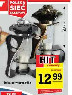 Gram Market Znicz Polska Róża oferta