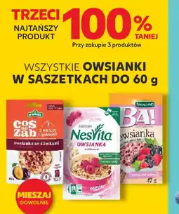 Kaufland Owsianki w saszetkach oferta