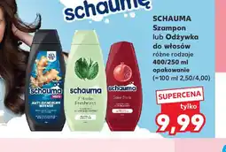 Kaufland Schauma Szampon lub Odżywka do włosów oferta