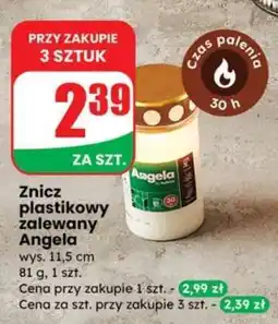Dino Znicz plastikowy zalewany Angela oferta