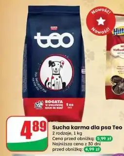 Dino Sucha karma dla psa Teo oferta