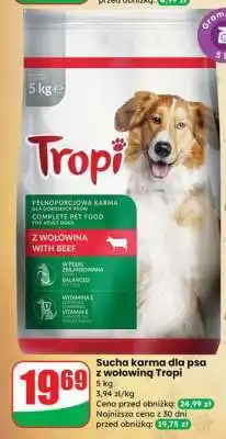 Dino Sucha karma dla psa z wołowiną Tropi oferta