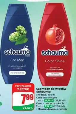 Dino Szampon do włosów Schauma oferta