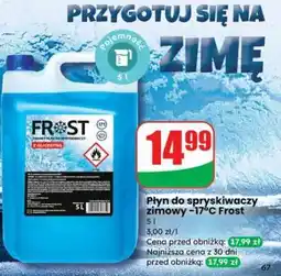 Dino Płyn do spryskiwaczy zimowy –17°C Frost oferta