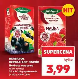 Kaufland HERBAPOL Herbaciany ogród oferta