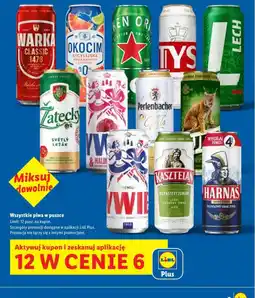 Lidl Piwo w puszce oferta