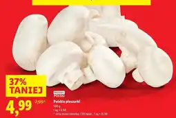 Lidl Pieczarki polska oferta