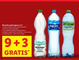 Lidl Woda średnionasycona Saguaro Muszyńskie oferta
