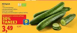 Lidl Ogórek bio oferta