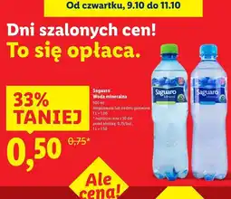 Lidl Woda gazowana Saguaro oferta